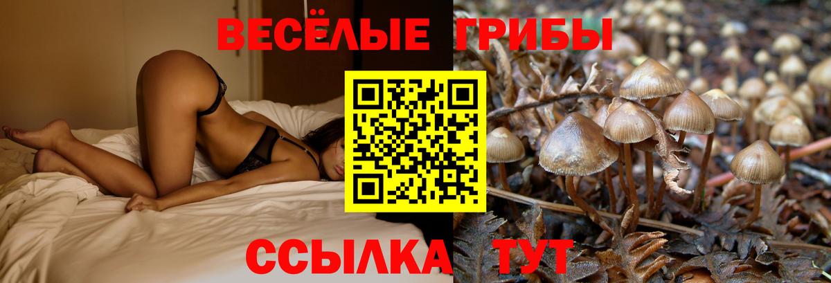 Галлюциногенные грибы Magic Shrooms  Галлюциногенные грибы Cubensis  Вход с VPN  Ханты-Мансийск 